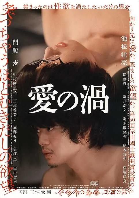 爱之涡2014海报