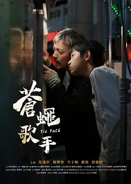 苍蝇歌手海报