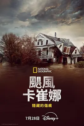 飓风卡特里娜:隐藏的伤痕海报