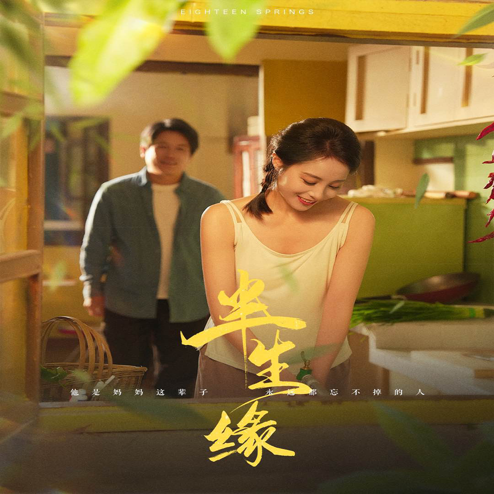 新版半生缘海报