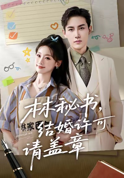 林秘书,结婚许可请盖章海报
