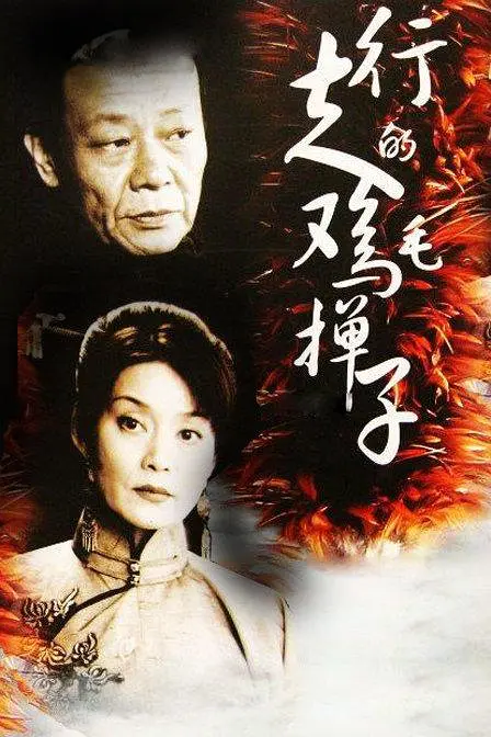 行走的鸡毛掸子[电影解说]海报
