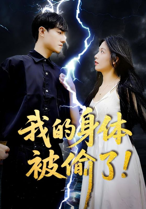 我的身体被偷了海报