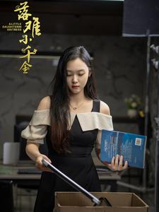新落难小千金海报