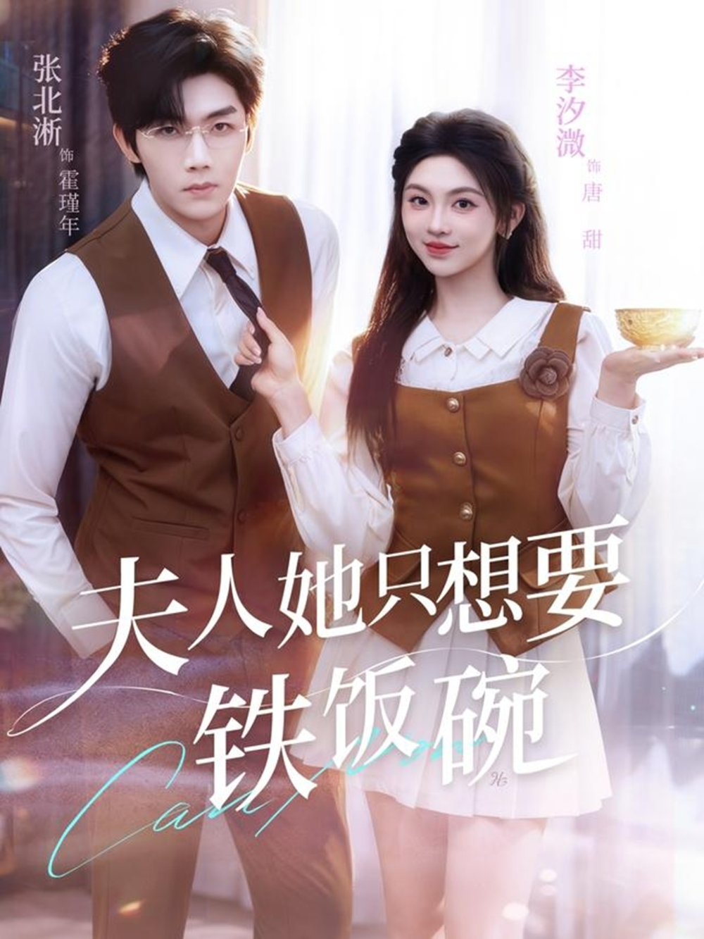 夫人她只想要铁饭碗海报
