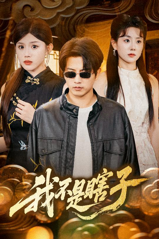 我不是瞎子海报
