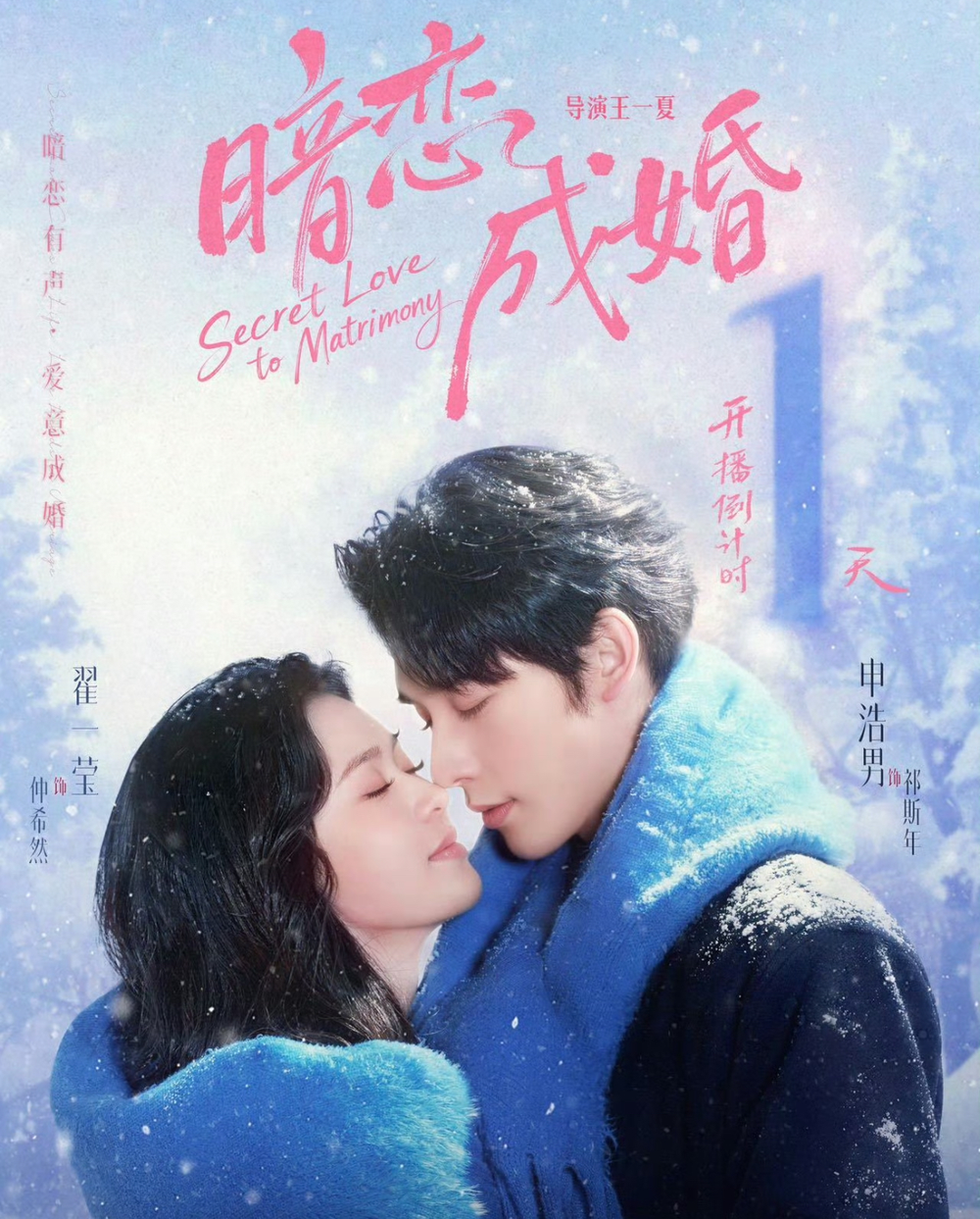 暗恋成婚海报