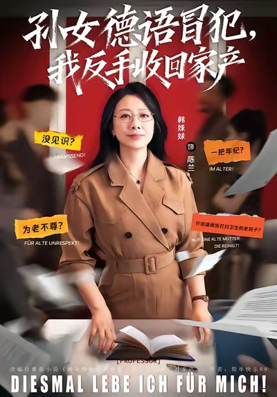 孙女德语冒犯我反手收回家产海报