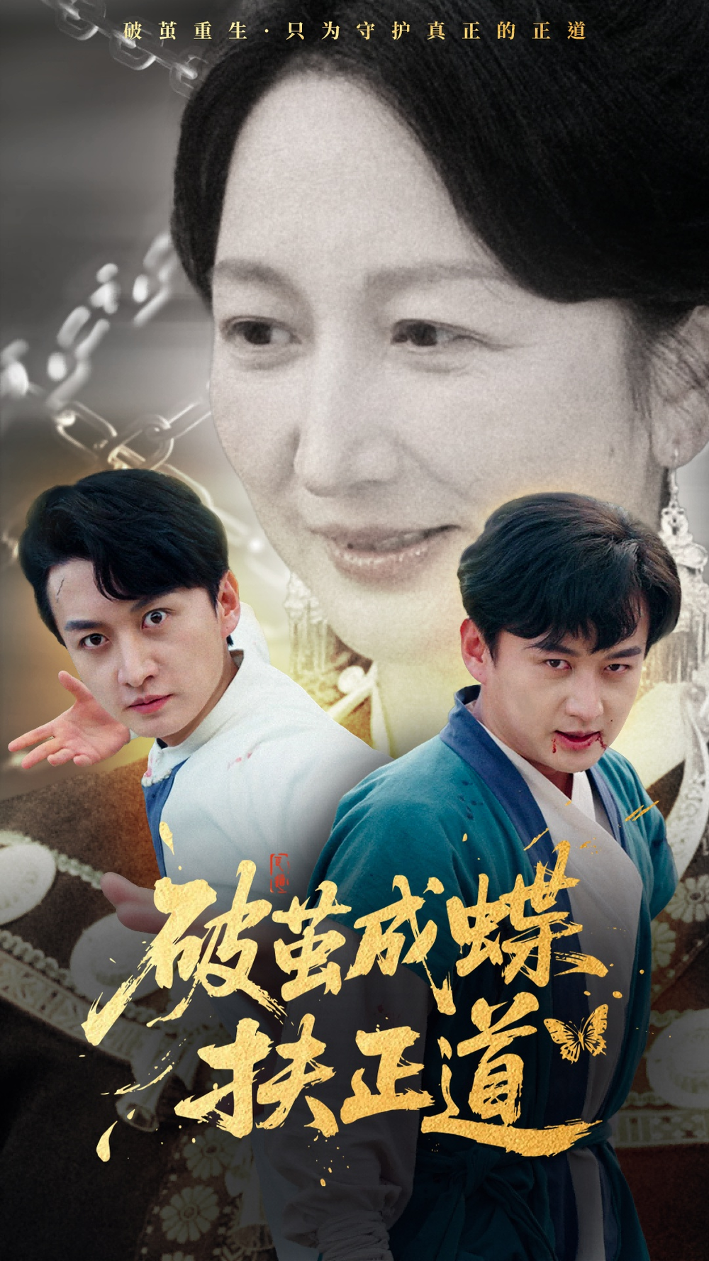 破茧成蝶扶正道海报