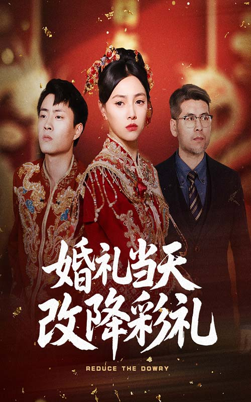 婚礼当天改降彩礼海报