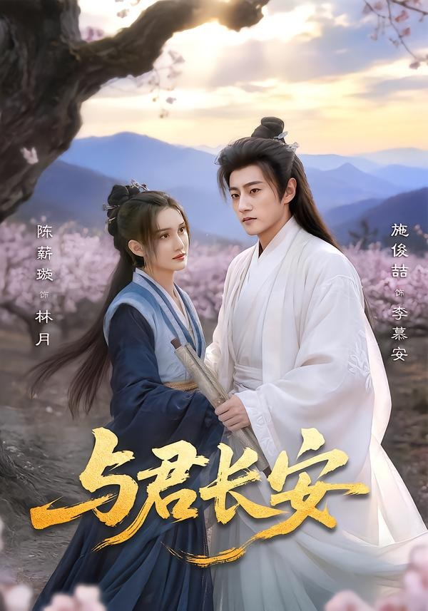 与君长安海报