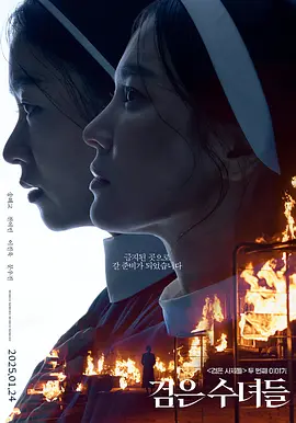 黑修女们[电影解说]海报