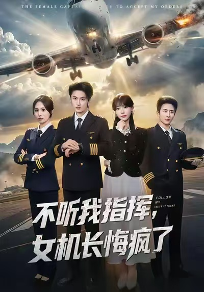 不听我指挥,女机长悔疯了海报