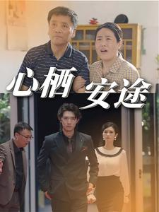 心栖安途海报