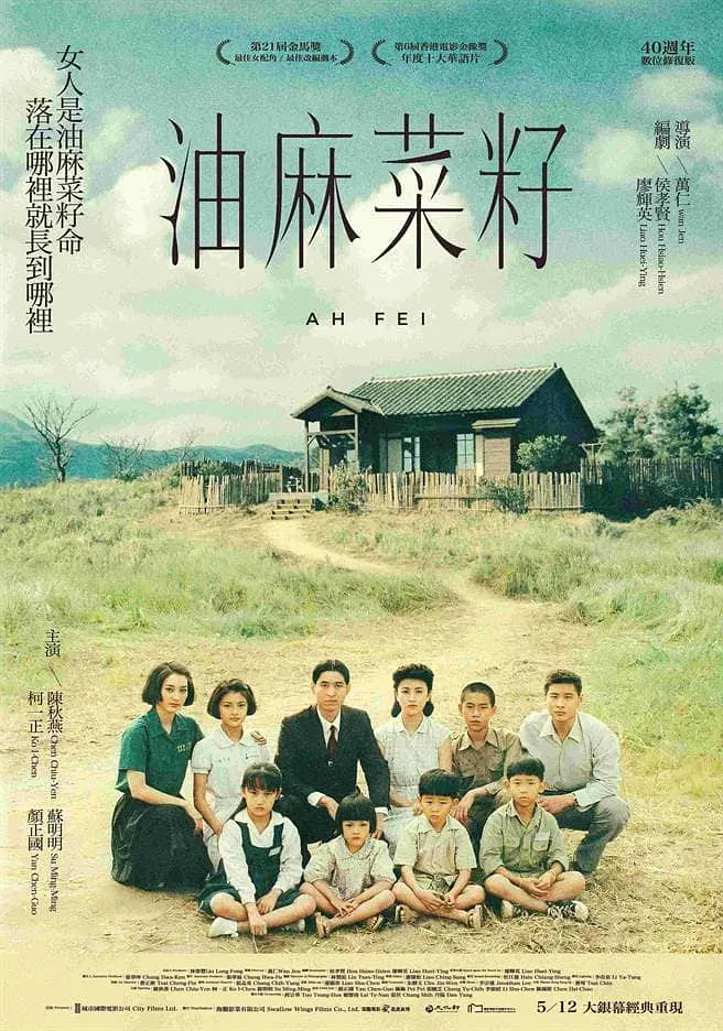 油麻菜籽[电影解说]海报