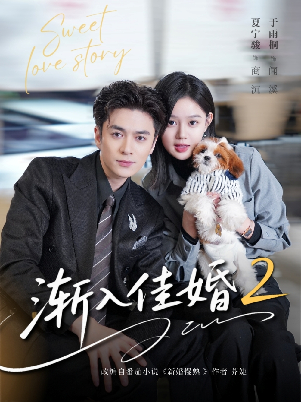 渐入佳婚2海报