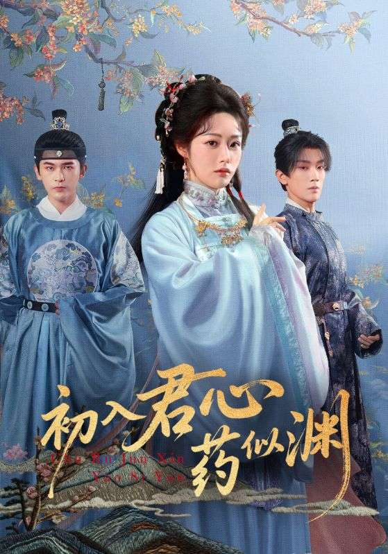 初入君心药似渊海报