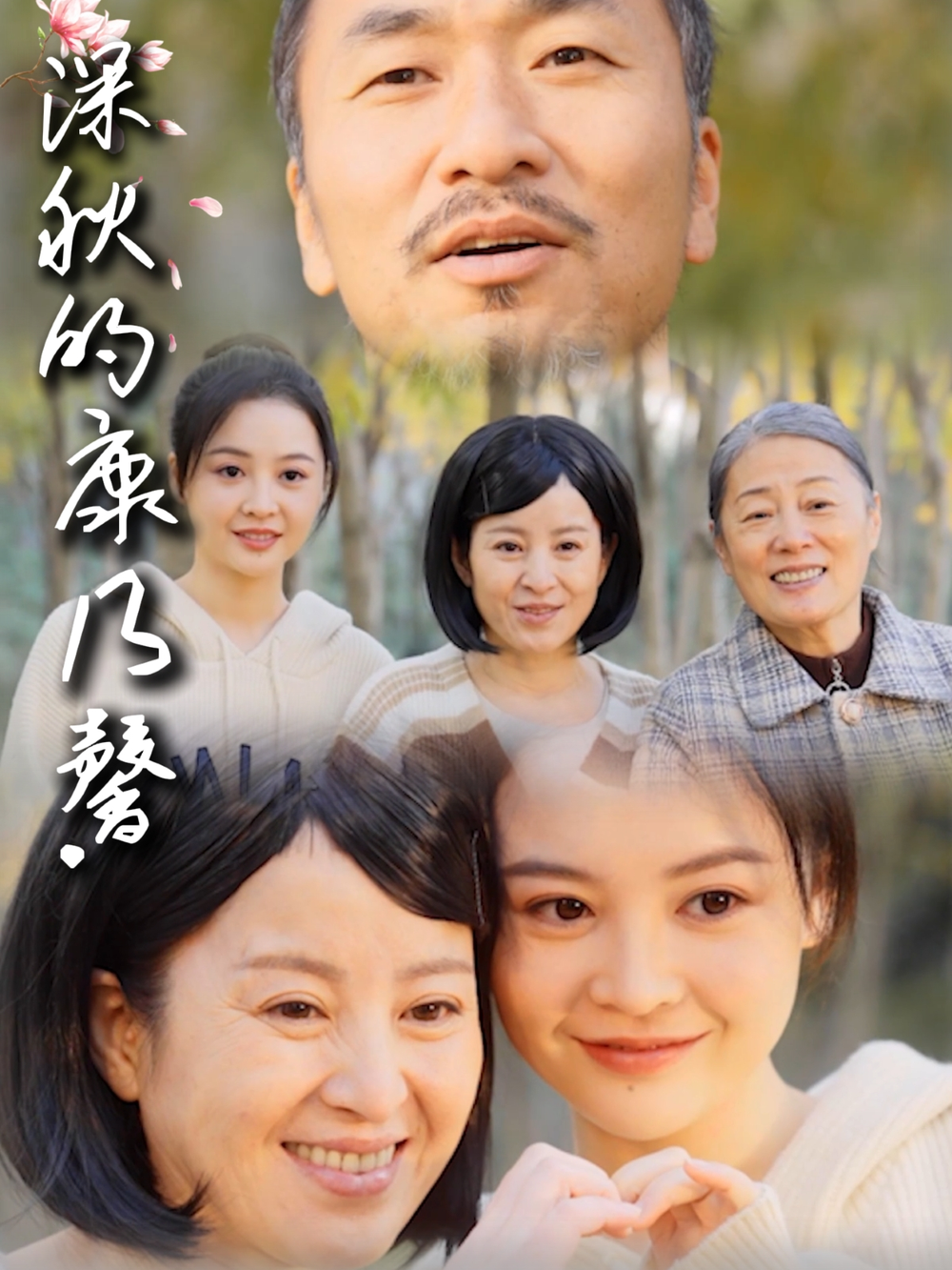深秋的康乃馨海报