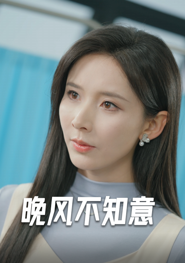风不知意海报