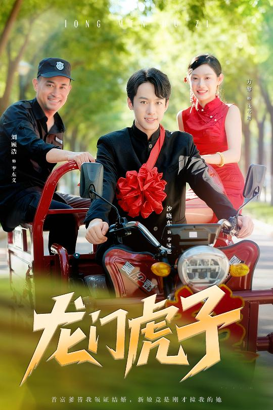 龙门虎子海报