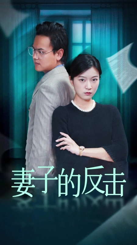 妻子的反击海报