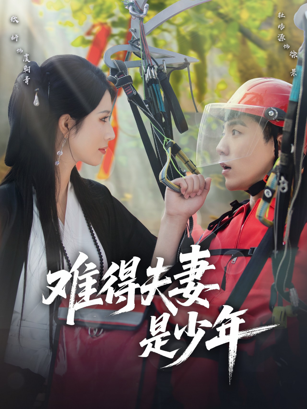 难得夫妻是少年海报