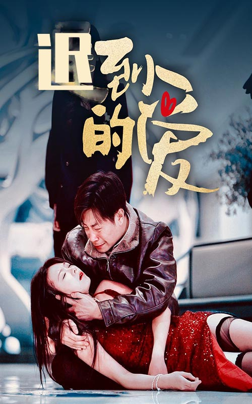 迟到的爱海报
