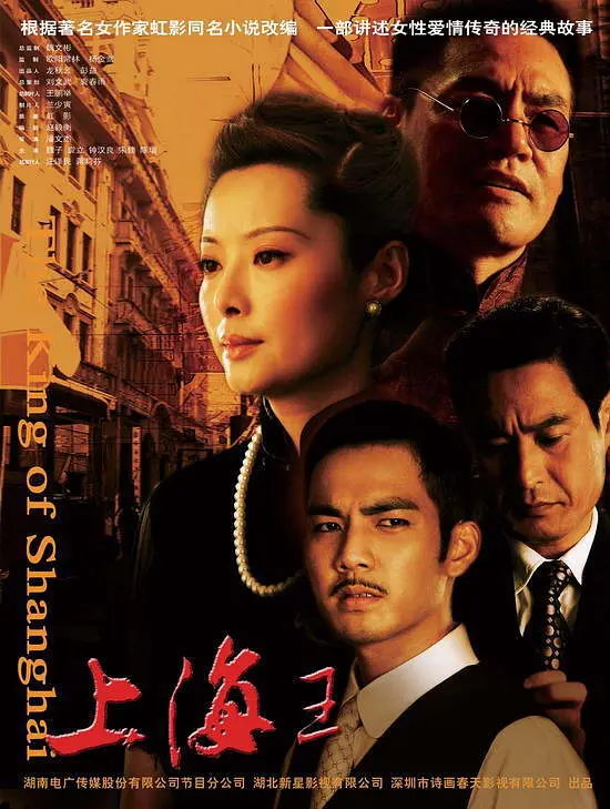 上海王2008[电影解说]海报