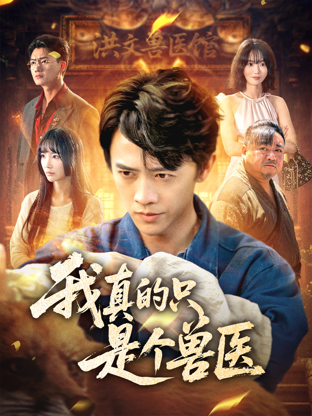 我真的只是个兽医海报