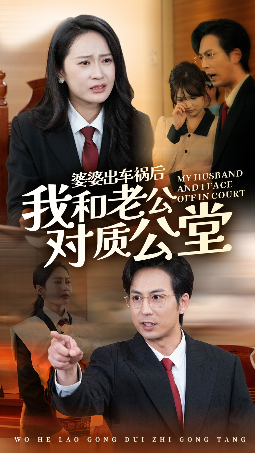 婆出车祸后我和老公对质公堂海报