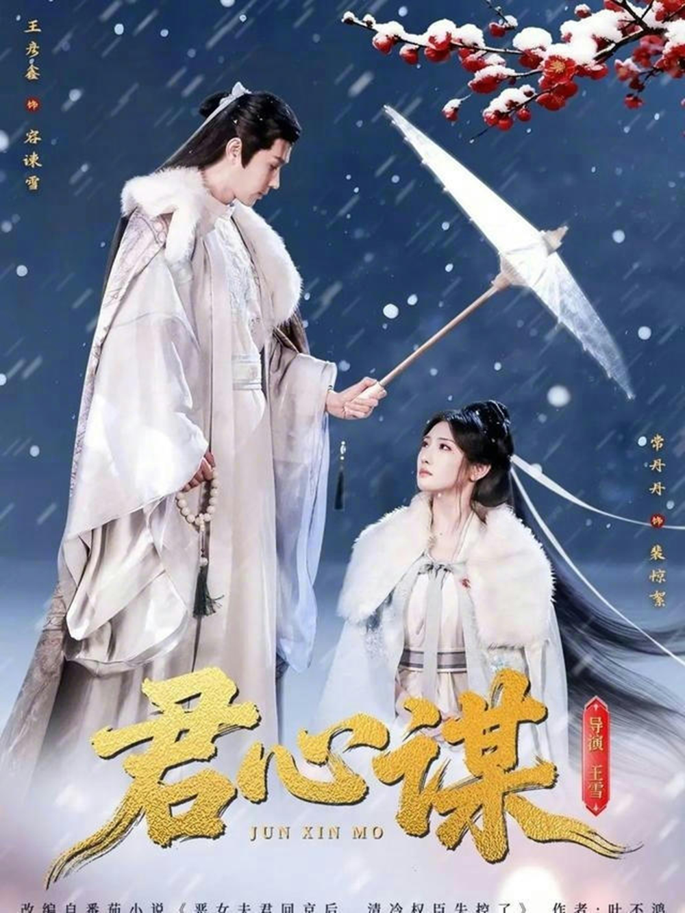 君心谋海报