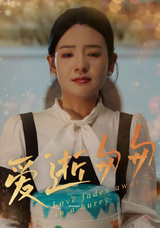 爱逝匆匆海报