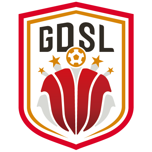 广东省足球超级联赛 深圳科宇盛达vs阳江西海岸20250830海报