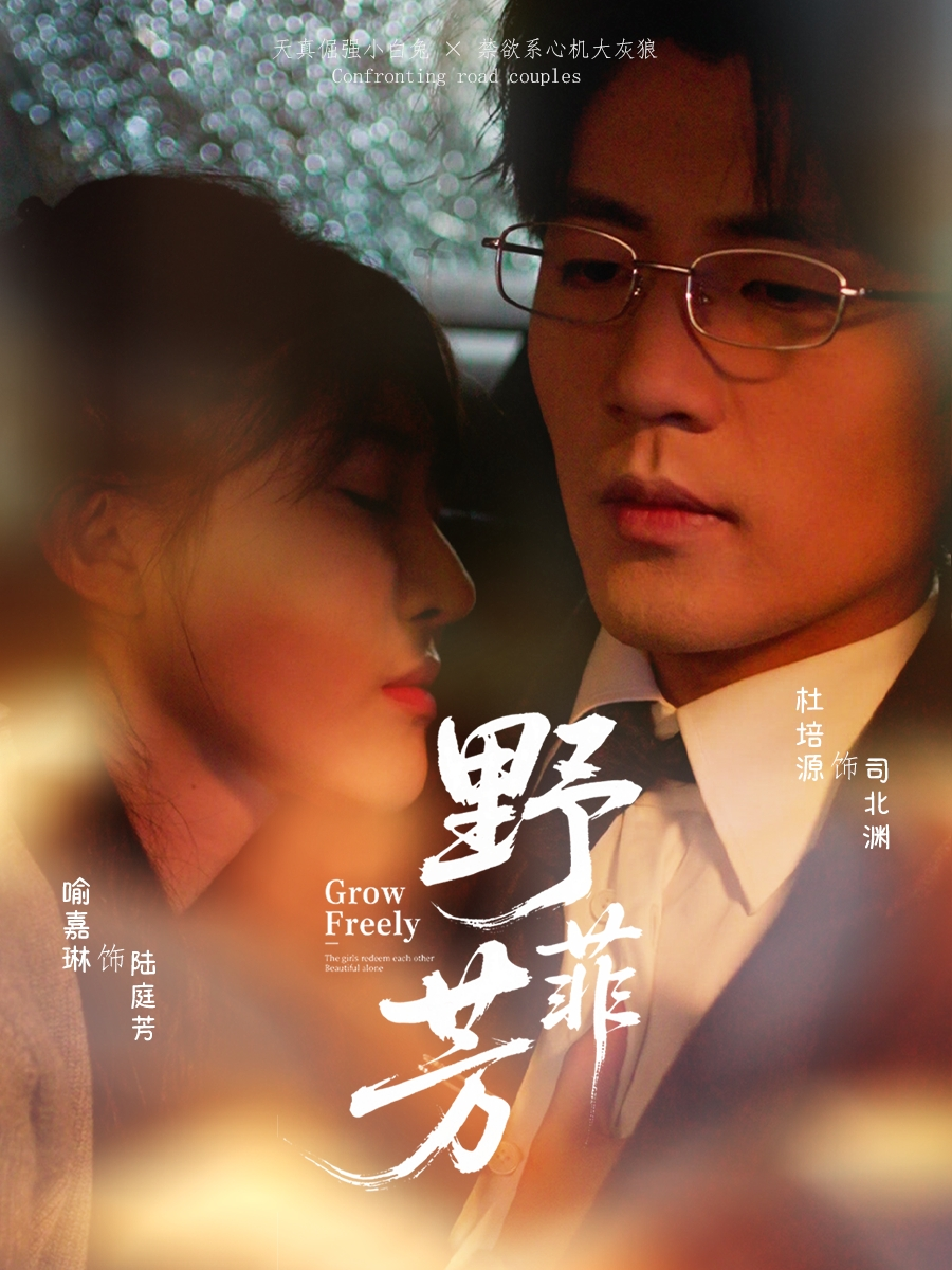 野芳菲海报