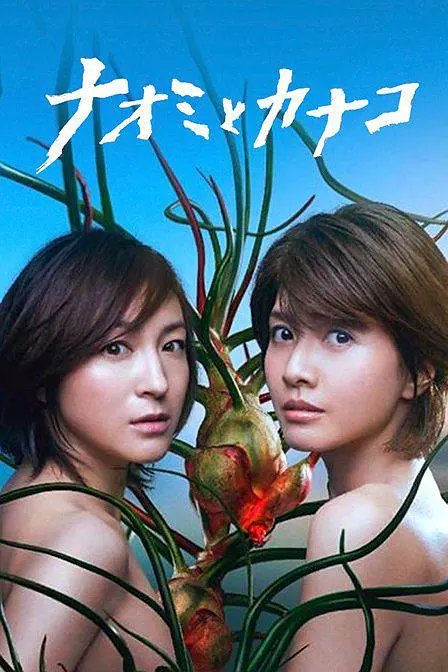 直美与加奈子[电影解说]海报