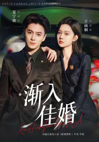 渐入佳婚海报