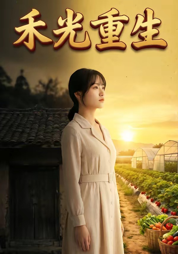 禾光重生海报