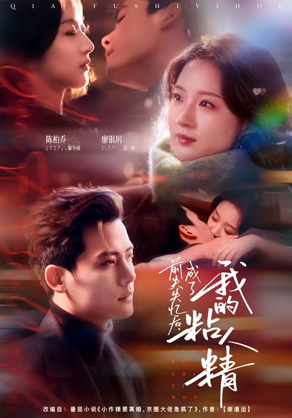 前夫失忆后，成了我的粘人精海报
