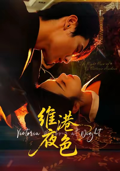 维港夜色&港城回响海报