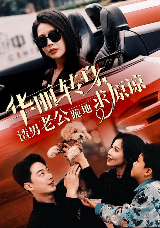 丽转身渣男老公跪地求原谅海报