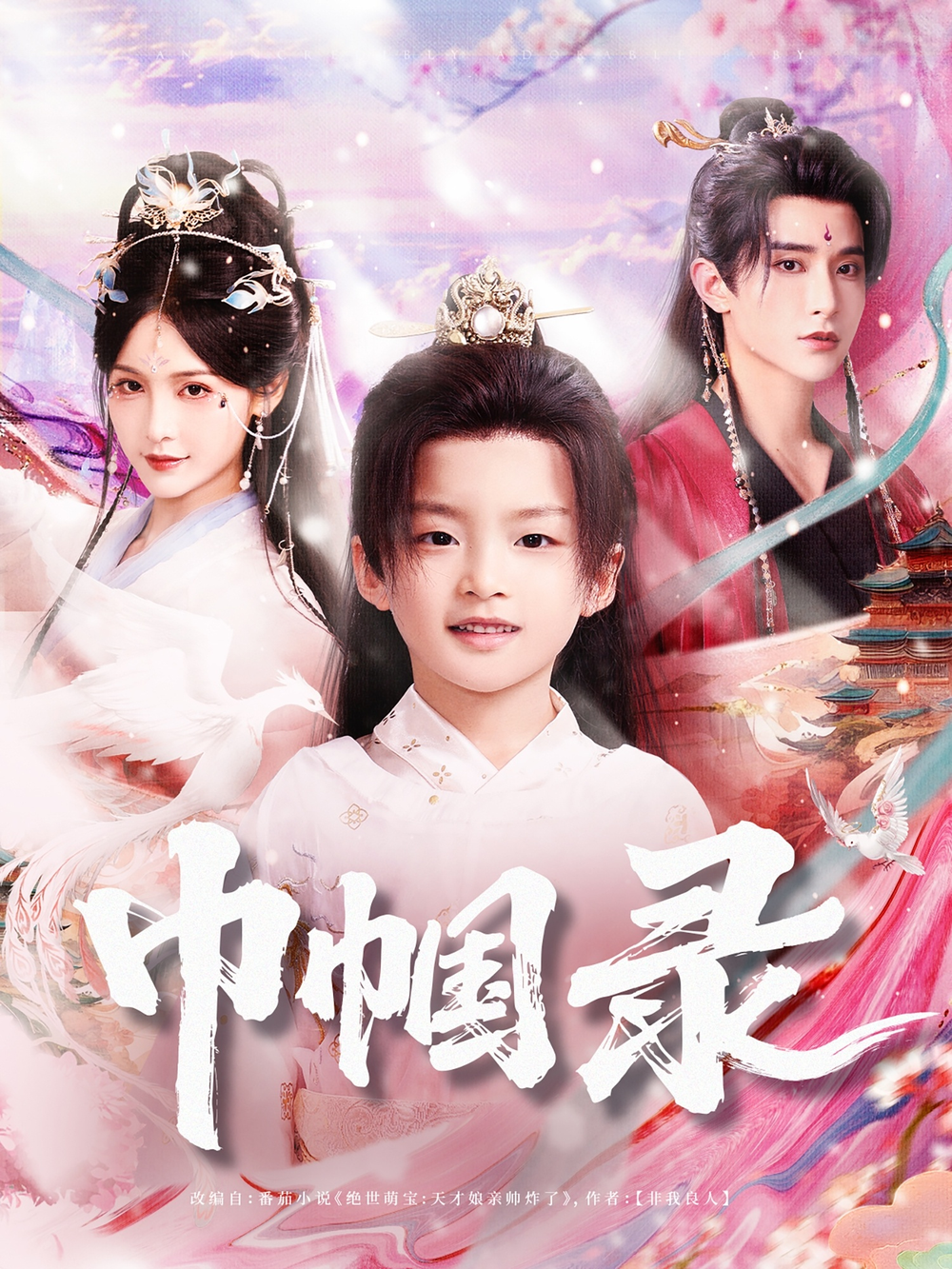 巾帼录海报