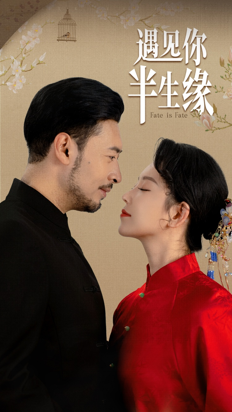 遇见你半生缘海报