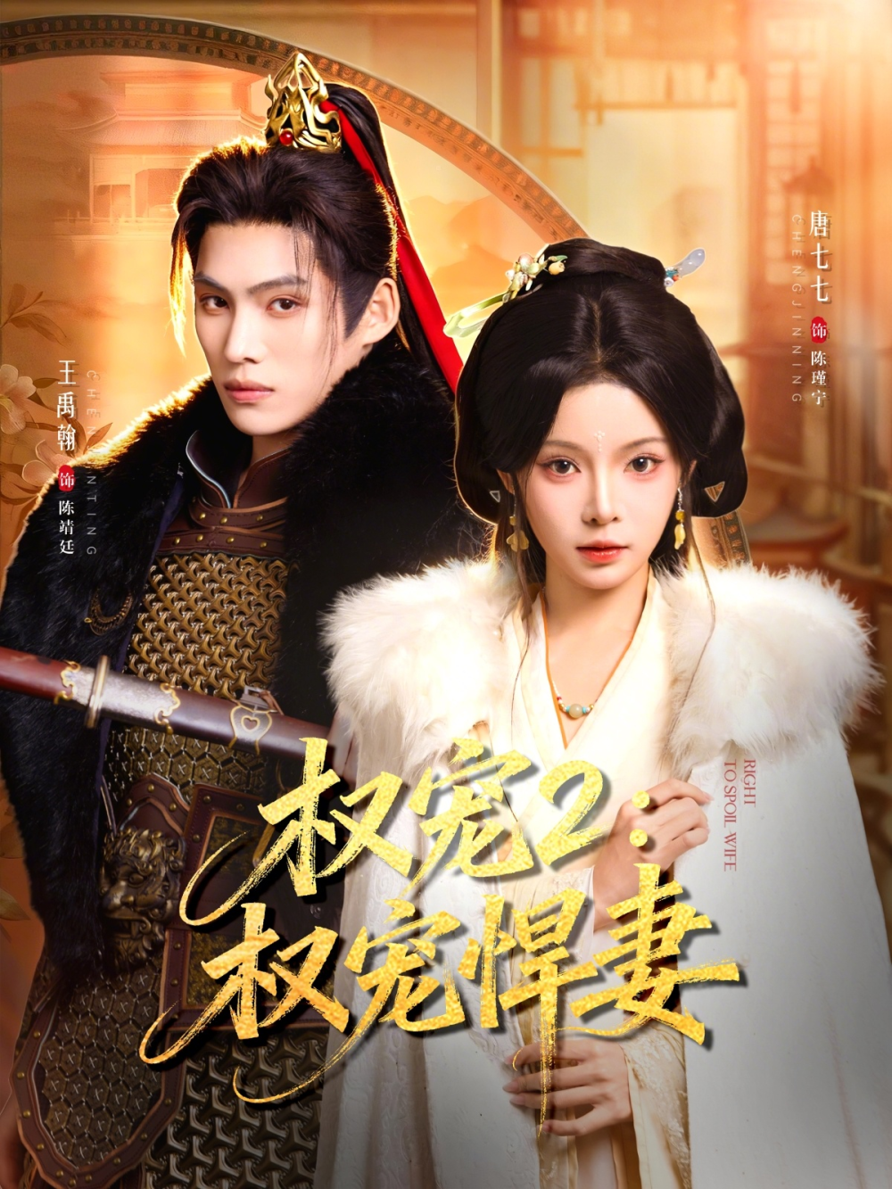 权宠2：权宠悍妻＆权宠2权宠悍妻海报