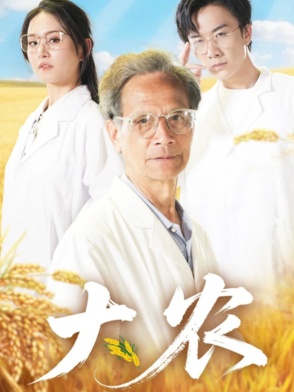 大农海报
