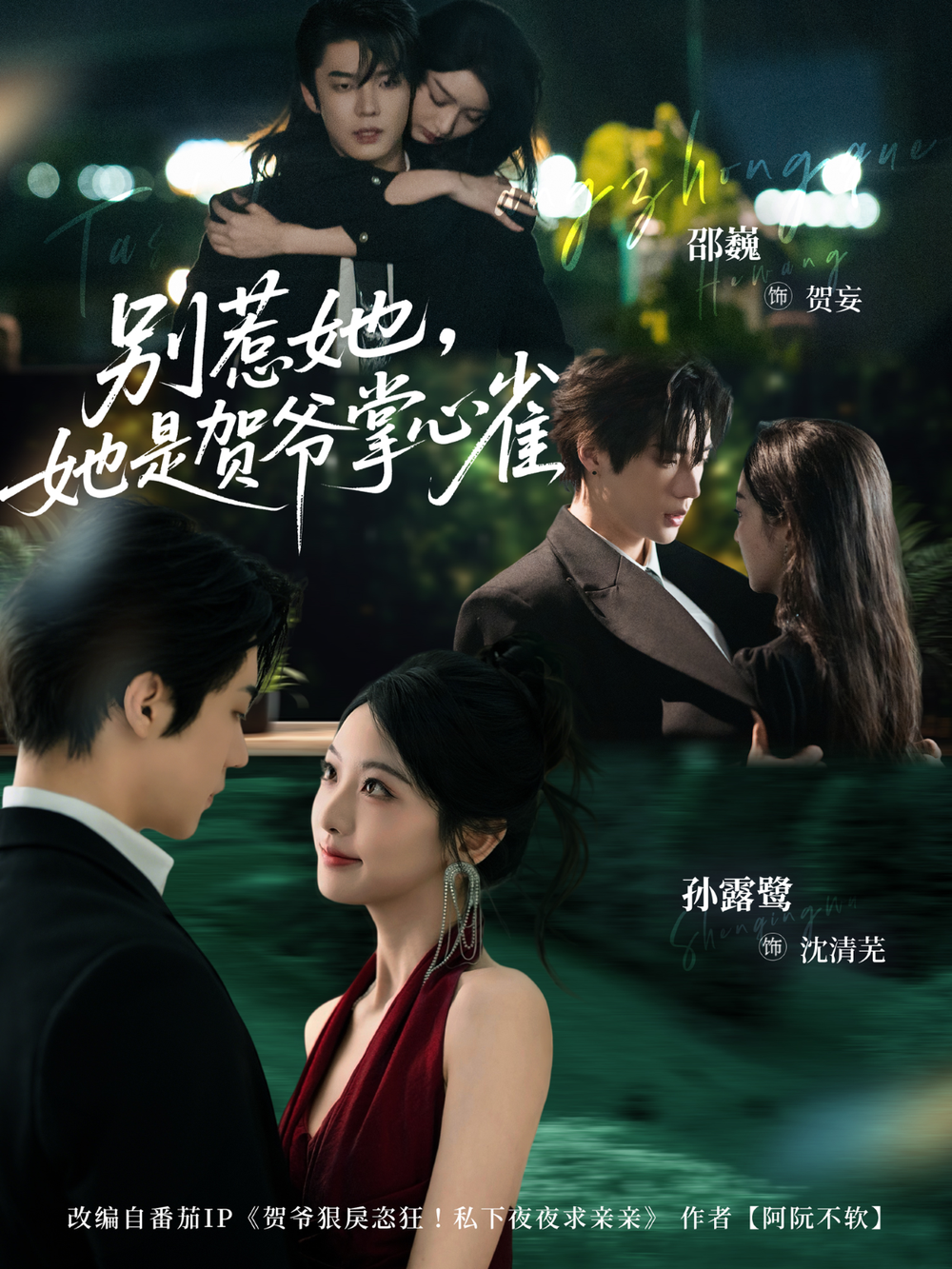 别惹她,她是贺爷掌心雀海报