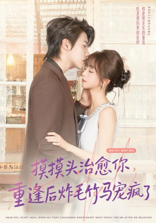 摸摸头,治愈你,重逢后炸毛竹马宠疯了海报