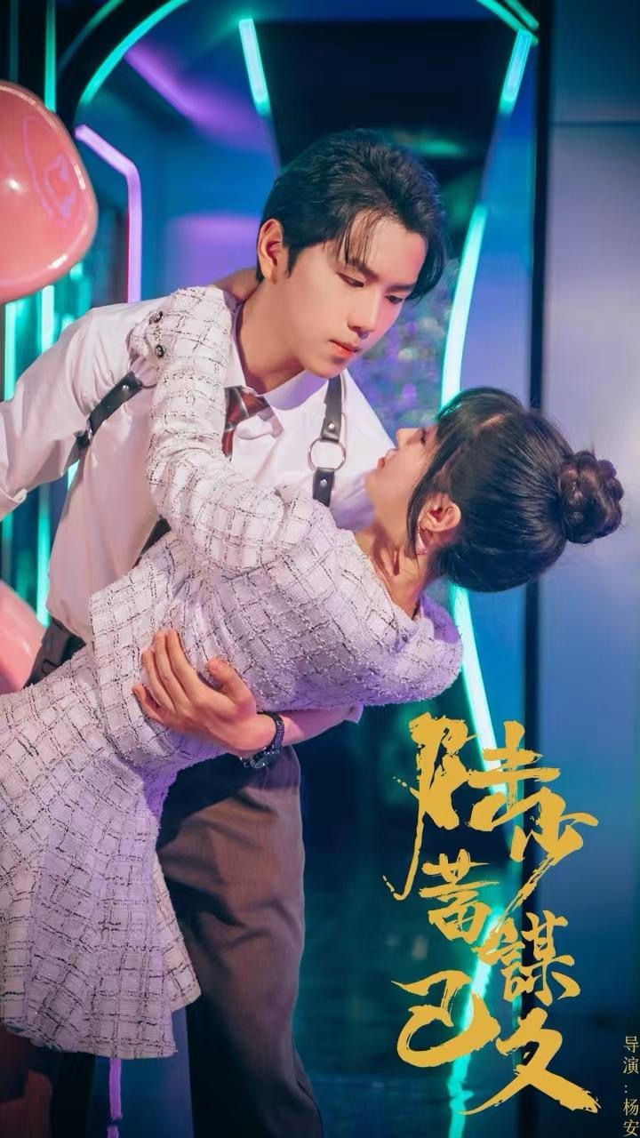 陆少蓄谋已久海报