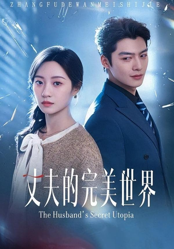 丈夫的完美世界海报
