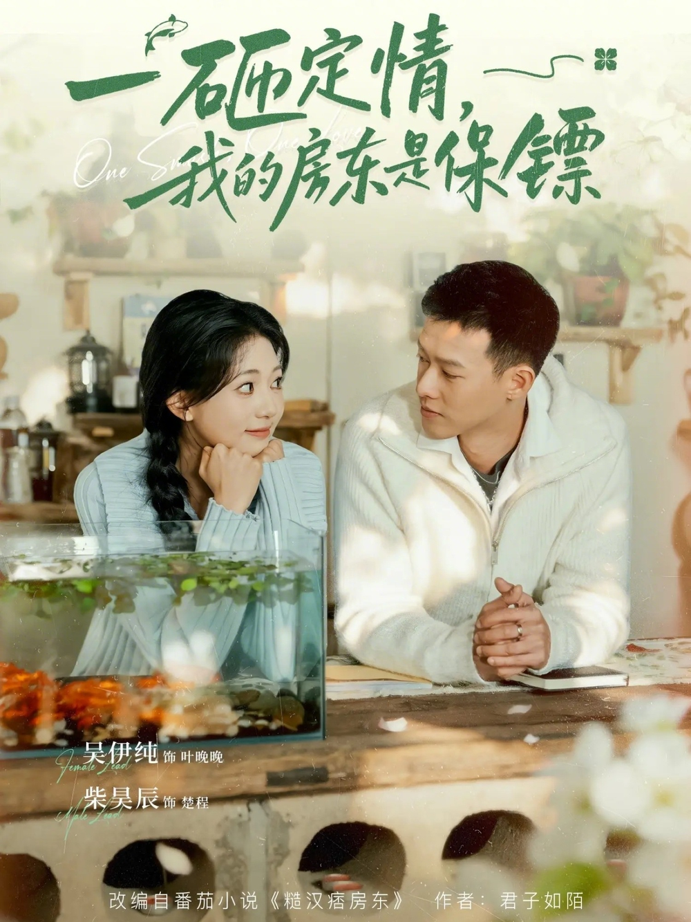一砸定情，我的房东是保镖海报