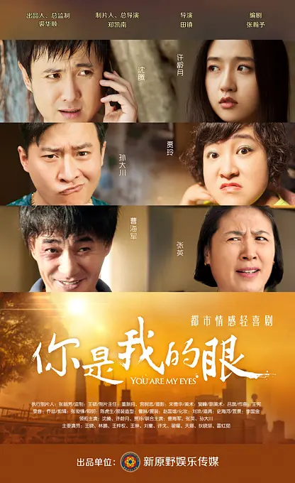 你是我的眼2015[电影解说]海报